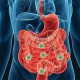 COVID-19: Manifestaciones gastrointestinales y posible transmisión fecal-oral